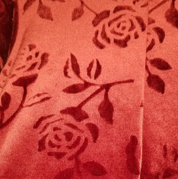 Burgandy Velvet Dress with Roses - Picture 3 of 3